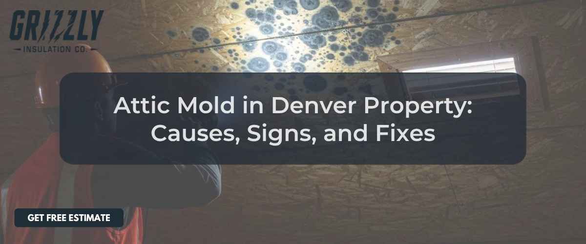 Attic mold in a Denver property with a dark overlay headline reading 'Attic Mold in Denver Property: Causes, Signs, and Fixes' and a 'Get Free Estimate' button, logo visible on the left.