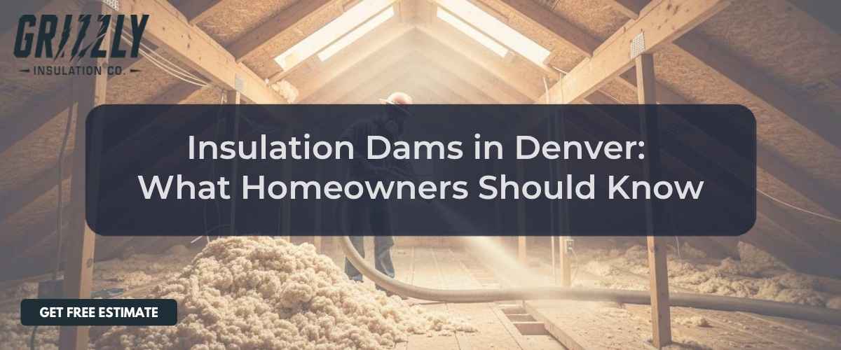 Featured hero image for "insulation dams" by Grizzly Insulation Co.