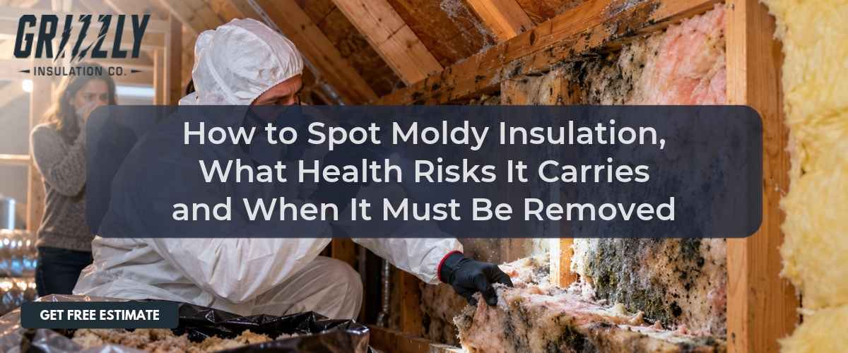 How to Spot Moldy Insulation, What Health Risks It Carries and When It Must Be Removed