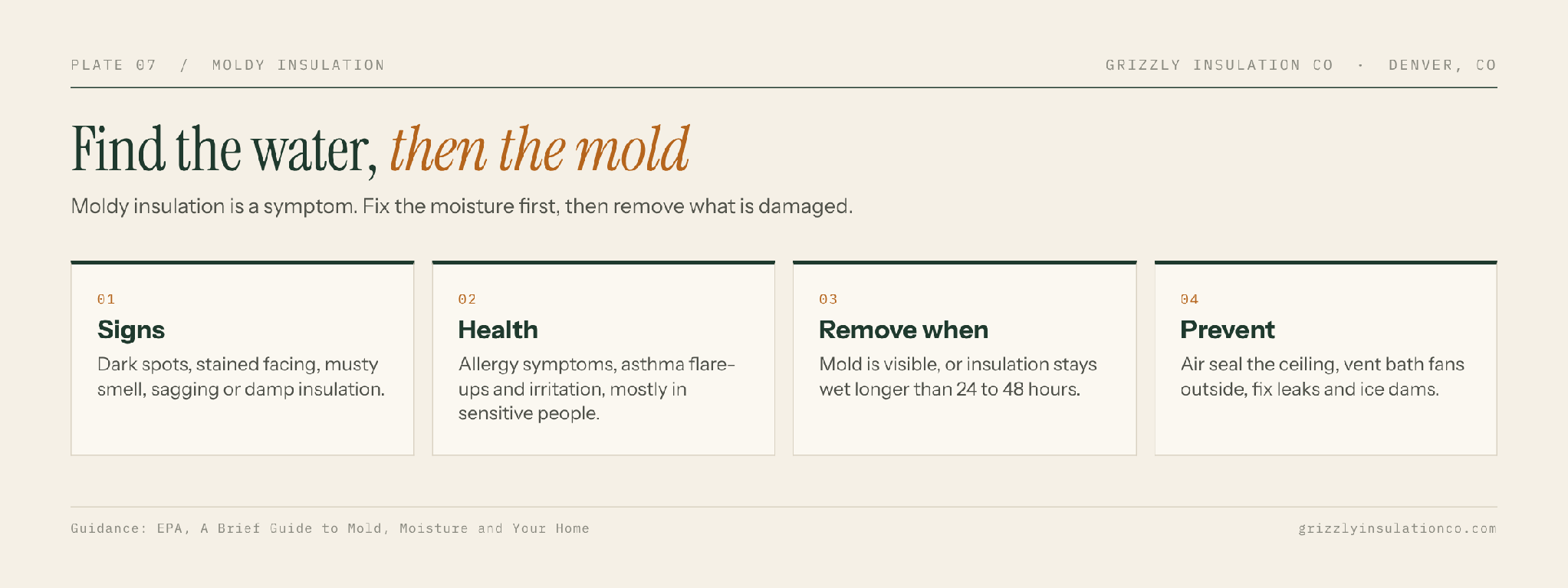 Moldy insulation warning signs, health risks, and when moldy insulation must be removed