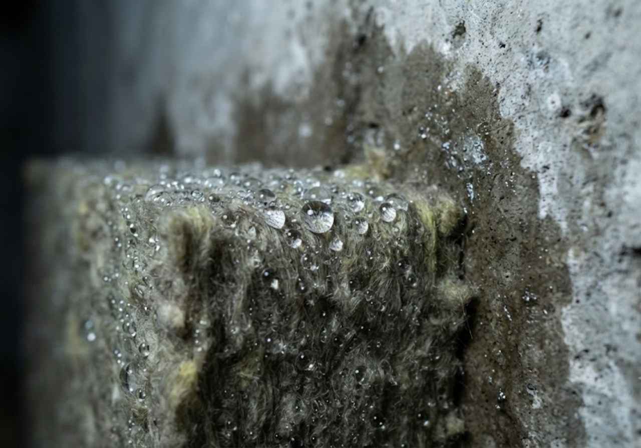Water beading on mineral wool against a Denver basement wall
